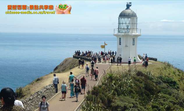 Paihia Cape Reinga Lighthouse 雷因格角燈塔