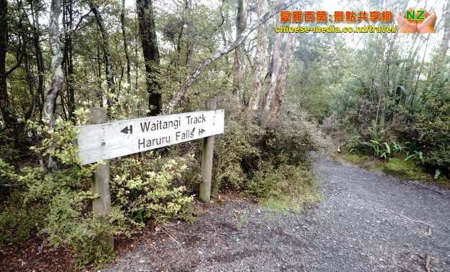 Paihia Haruru Falls 哈魯魯瀑布 簽約屋