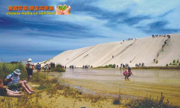 Paihia Te Paki Dunes 蒂帕基沙丘滑沙 Cape Reinga