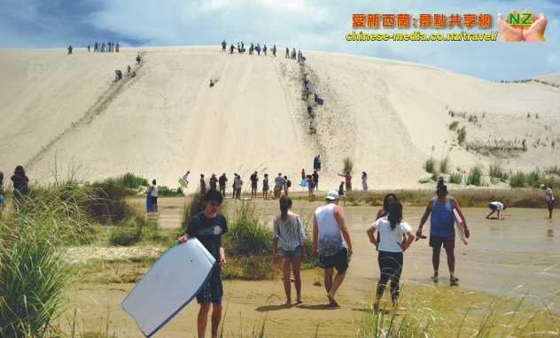Paihia Te Paki Dunes 蒂帕基沙丘滑沙 Cape Reinga