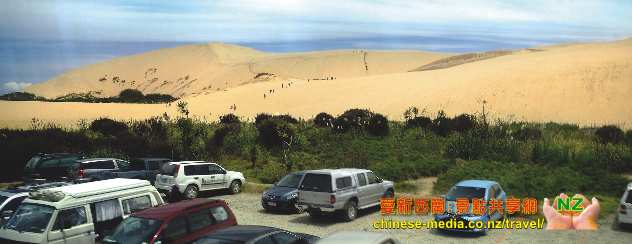 Paihia Te Paki Dunes 蒂帕基沙丘滑沙 Cape Reinga