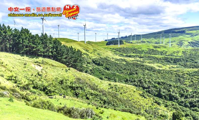 Palmerston North 北帕默斯頓 Te Apiti Wind Farm 蒂阿皮蒂風力場