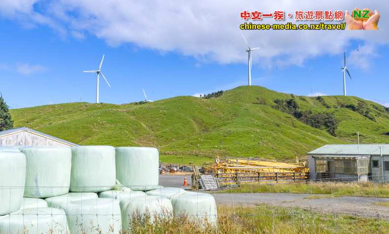 Palmerston North 北帕默斯頓 Te Apiti Wind Farm 蒂阿皮蒂風力場