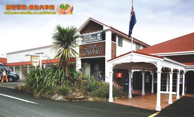 Paparoam Kauri Museum 貝殼杉木博物館