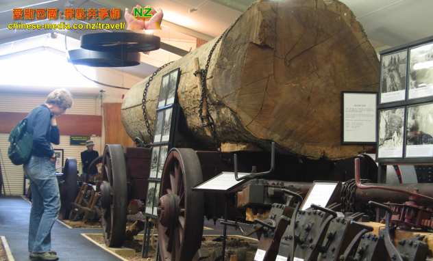 Paparoam Kauri Museum 貝殼杉木博物館
