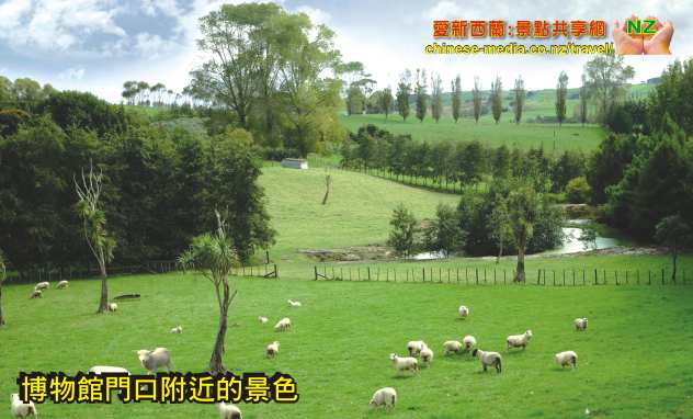 Paparoam Kauri Museum 貝殼杉木博物館