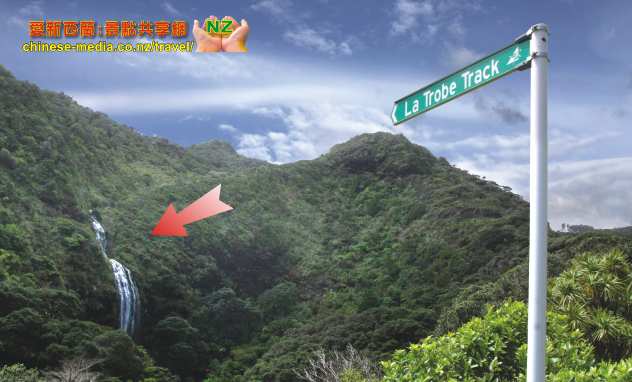Karekare Beach 凱里凱裡黑沙灘 瀑布  La Trobe Track Taraire Track Karekare Falls 