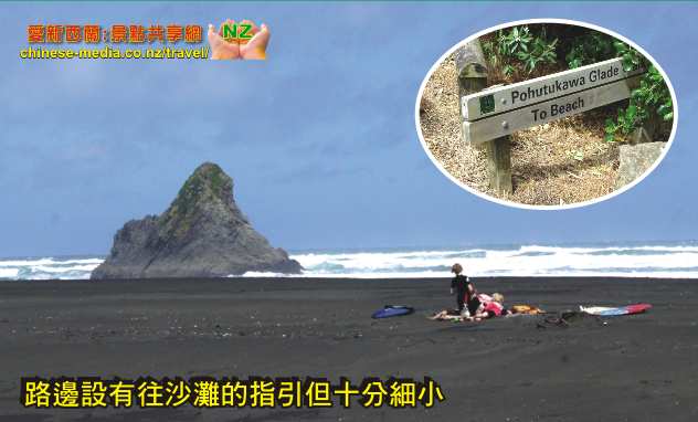Karekare Beach 凱里凱裡黑沙灘 瀑布  La Trobe Track Taraire Track Karekare Falls 