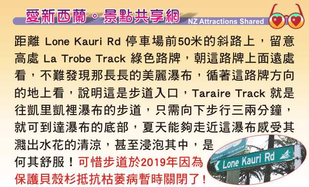 Karekare Beach 凱里凱裡黑沙灘 瀑布  La Trobe Track Taraire Track Karekare Falls 