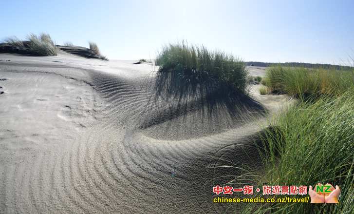 Port Waikato Sand Dunes 懷卡托港 沙丘島 釣魚 滑沙