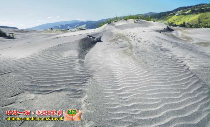 Port Waikato Wharf 碼頭 釣魚 懷卡托港 Sand Dunes Sunset Beach 日落灘