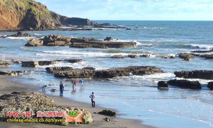 Port Waikato 懷卡托港 沙丘島 Sand Dunes Sunset Beach 日落灘
