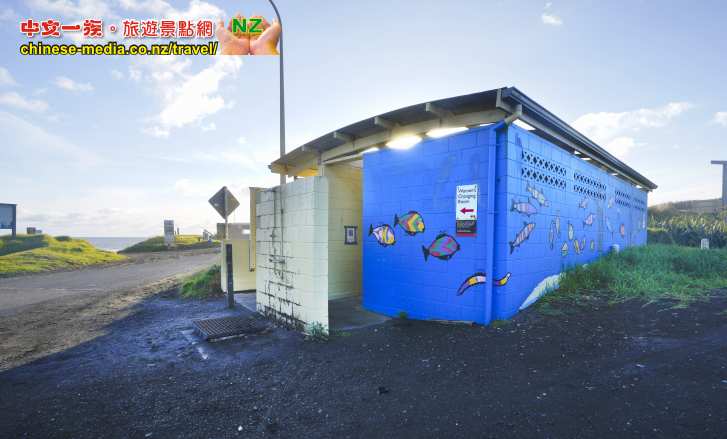 Port Waikato 懷卡托港 沙丘島 Sand Dunes Sunset Beach 日落灘