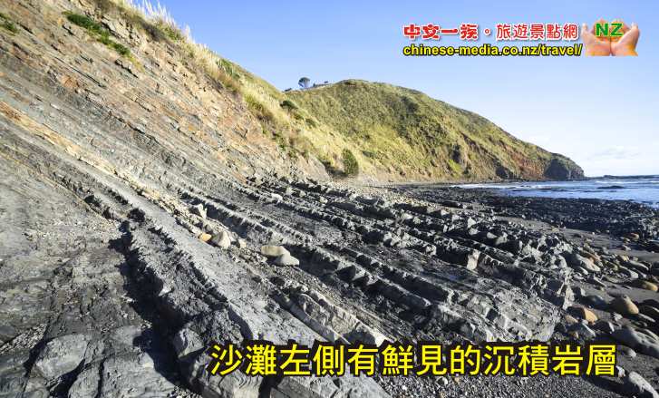 Port Waikato 懷卡托港 沙丘島 Sand Dunes Sunset Beach 日落灘