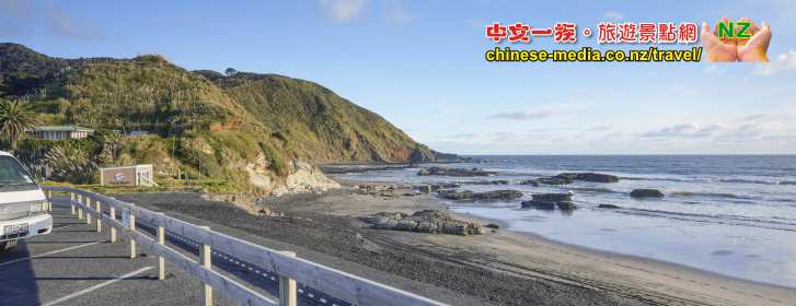 Port Waikato 懷卡托港 沙丘島 Sand Dunes Sunset Beach 日落灘