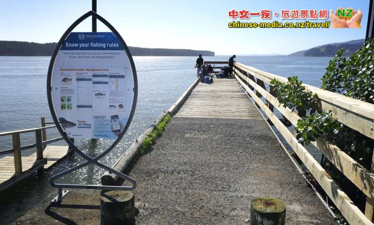 Port Waikato Wharf 碼頭 釣魚 懷卡托港 Sand Dunes Sunset Beach 日落灘