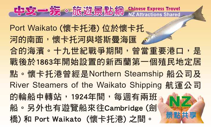 Port Waikato Wharf 碼頭 釣魚 懷卡托港 Sand Dunes Sunset Beach 日落灘