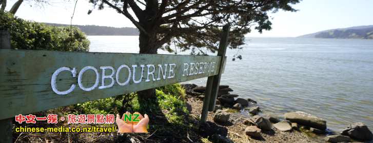Port Waikato Wharf 碼頭 釣魚 懷卡托港 Sand Dunes Sunset Beach 日落灘