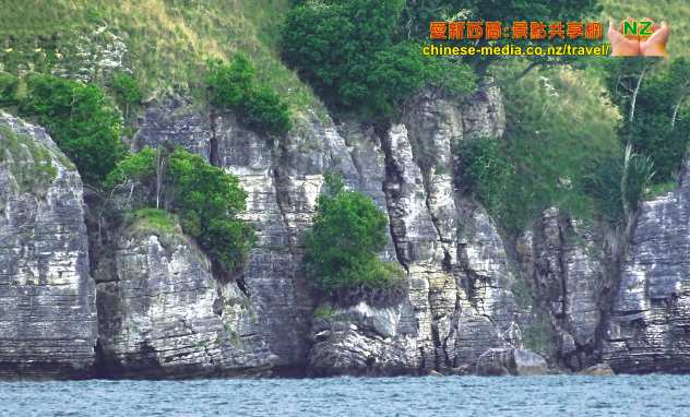 Raglan 雷格蘭 Pancake Rocks 千層薄餅岩船遊 Te Akau Wharf Rd