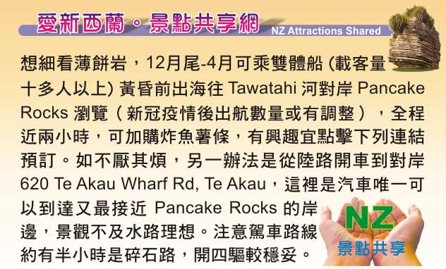 Raglan 雷格蘭 Pancake Rocks 千層薄餅岩船遊 Te Akau Wharf Rd