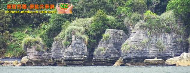 Raglan 雷格蘭 Pancake Rocks 千層薄餅岩船遊 Te Akau Wharf Rd