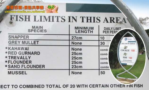 Raglan Wharf 雷格蘭碼頭 Raglan Fish 炸魚薯條