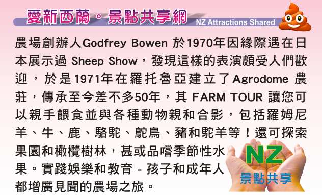  Rotorua 羅托魯瓦 Agrodome Farm 愛歌頓農莊 剪羊毛