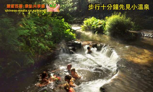 Rotorua Kerosene Creek Hot Springs 煤油溪瀑布免費溫泉 wai-O-tapu thermal 