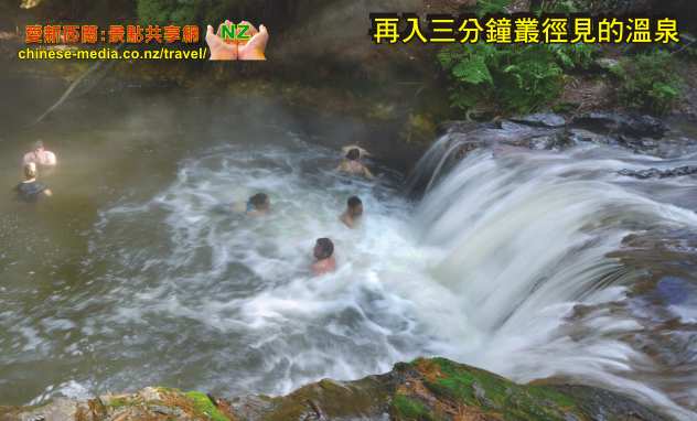 Rotorua Kerosene Creek Hot Springs 煤油溪瀑布免費溫泉 wai-O-tapu thermal 