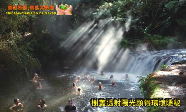 Rotorua Kerosene Creek Hot Springs 煤油溪瀑布免費溫泉 wai-O-tapu thermal 