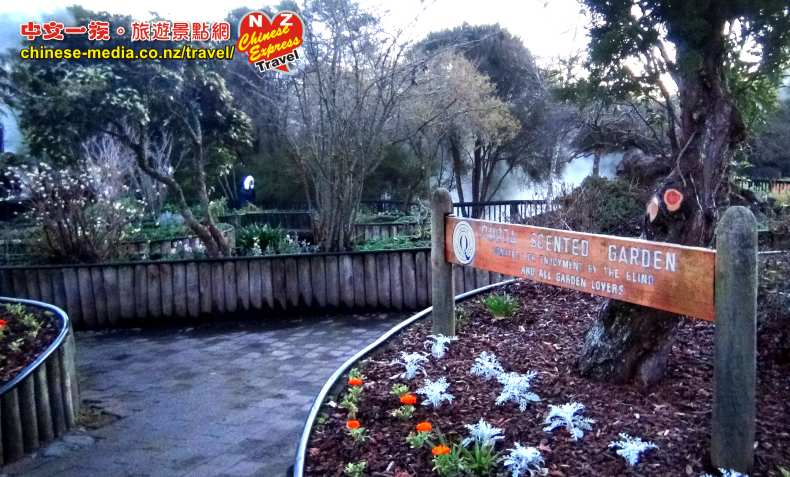 Kuirau Park 地熱公園溫泉泡足池  Rotorua 羅托魯瓦