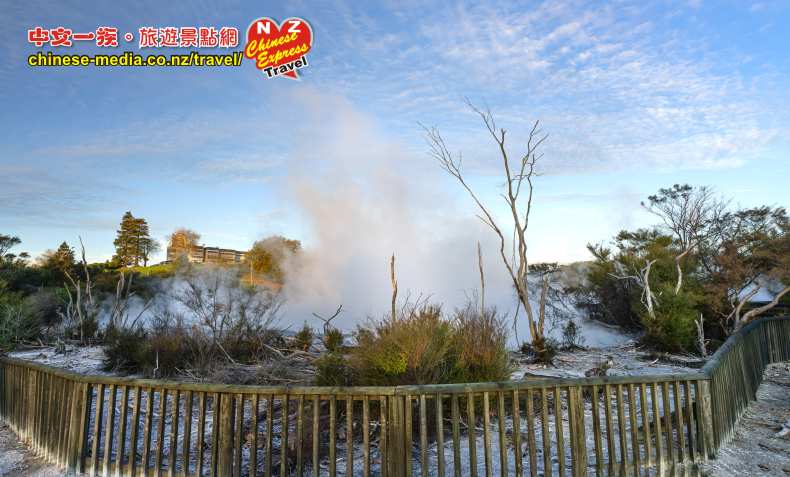 Kuirau Park 地熱公園溫泉泡足池  Rotorua 羅托魯瓦