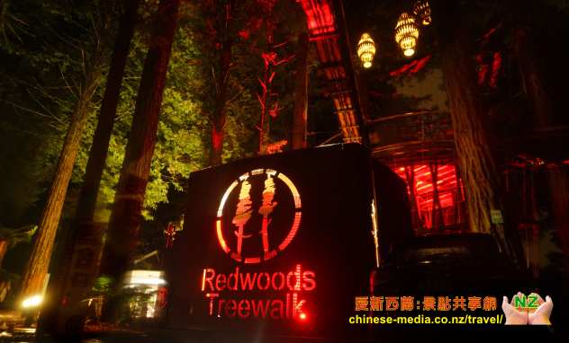 Rotorua 羅托魯瓦 Redwoods Forest 紅樹林公園 Treewalk 樹上行 吊橋步道