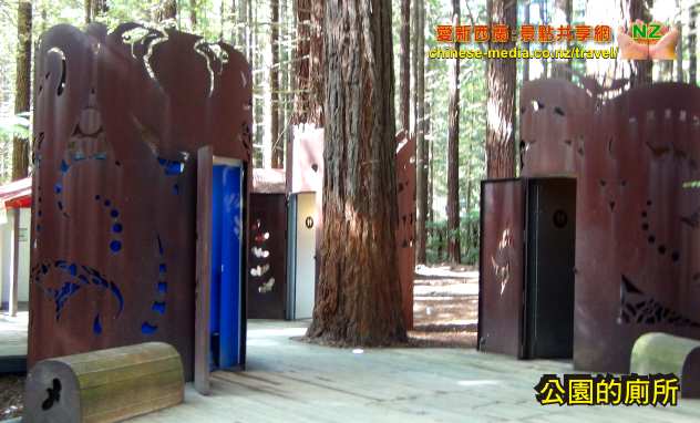 Rotorua 羅托魯瓦 Redwoods Forest 紅樹林公園 Treewalk 樹上行 吊橋步道