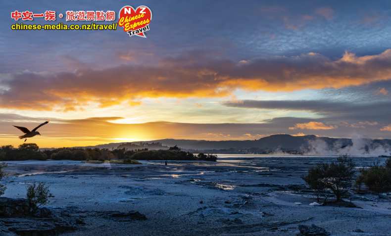 Rotorua 羅托魯瓦 Sulphur Flat 硫磺平原 日出