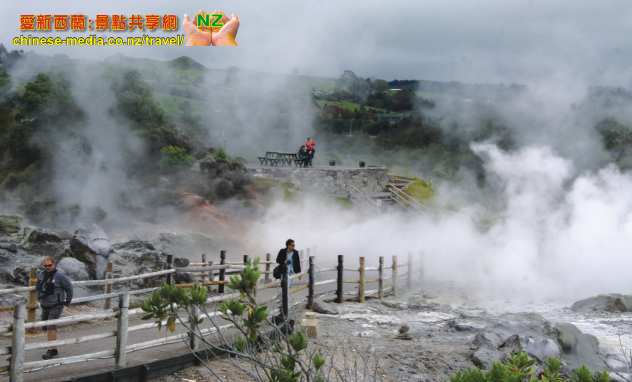 Rotorua Te Puia 蒂普亞 毛利文化地熱村