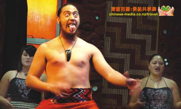 Rotorua Te Puia 蒂普亞 毛利文化地熱村