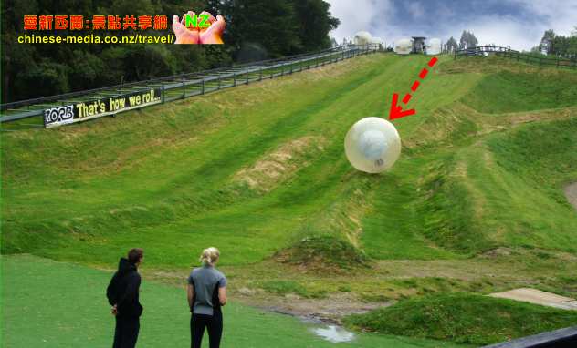 Zorb 坡滾人球世界首創發源地 Rotorua 羅托魯瓦