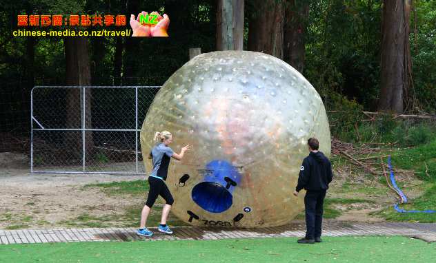 Zorb 坡滾人球世界首創發源地 Rotorua 羅托魯瓦