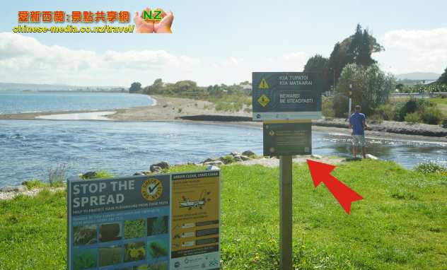 Taupo 濤波 世界釣鱒魚之都 Waitahanui 熱門釣鱒魚勝地