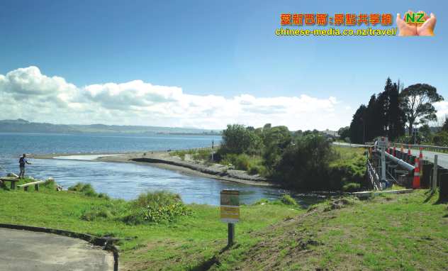 Taupo 濤波 世界釣鱒魚之都 Waitahanui 熱門釣鱒魚勝地