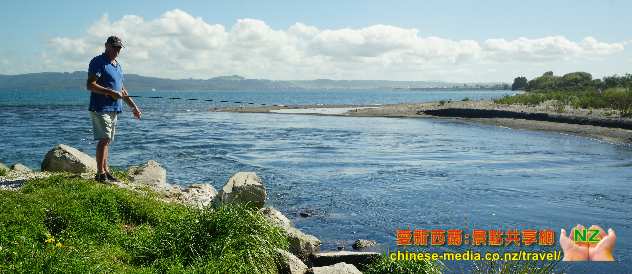 Taupo 濤波 世界釣鱒魚之都 Waitahanui 熱門釣鱒魚勝地