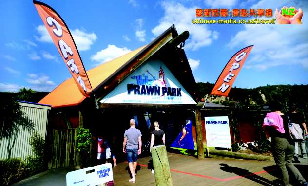 Huka Prawn Park 哈卡蝦場 Taupo 吃新鮮大蝦 釣蝦 地熱浴足