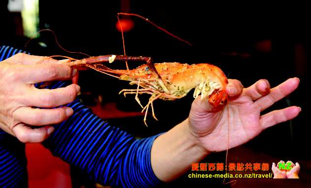 Huka Prawn Park 哈卡蝦場 Taupo 吃新鮮大蝦 釣蝦 地熱浴足