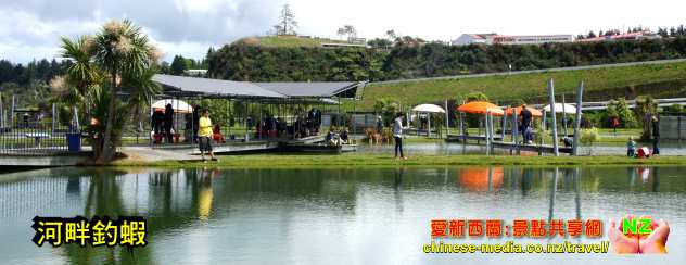 Huka Prawn Park 哈卡蝦場 Taupo 吃新鮮大蝦 釣蝦 地熱浴足