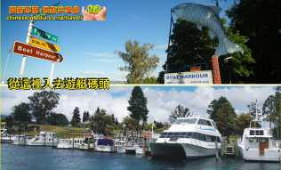 Lake Taupo Scenic Cruises Maori Rock Carvings濤波湖毛利石雕船遊
