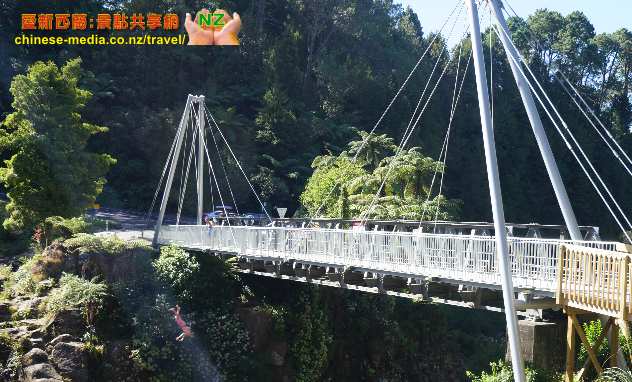Tauranga 陶朗加 McLaren Falls Park 瀑布公園 Lake McLaren 麥凱倫湖 Waka Experience 螢光 glow worms