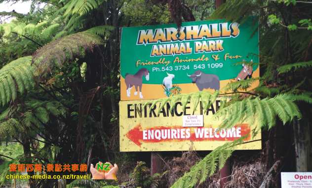 Tauranga 陶朗加 McLaren Falls Park 瀑布公園 Lake McLaren 麥凱倫湖 Waka Experience 螢光 glow worms