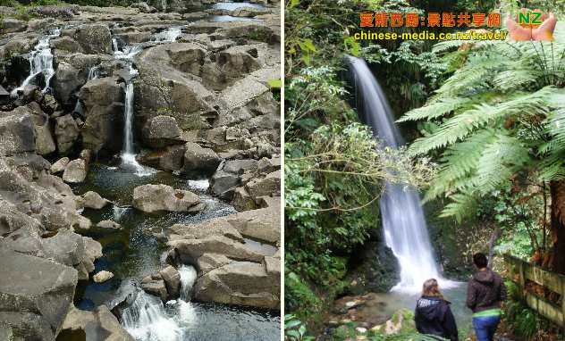 Tauranga 陶朗加 McLaren Falls Park 瀑布公園 Lake McLaren 麥凱倫湖 Waka Experience 螢光 glow worms