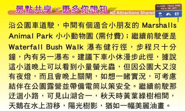 Tauranga 陶朗加 McLaren Falls Park 瀑布公園 Lake McLaren 麥凱倫湖 Waka Experience 螢光 glow worms